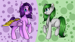 Size: 1024x575 | Tagged: safe, artist:chloeprice228, derpibooru import, oc, oc only, earth pony, pegasus, pony, abstract background, duo, female, heterochromia, mare, raised hoof