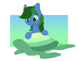 Size: 1024x800 | Tagged: safe, artist:gracewolf, derpibooru import, oc, oc:dormant flame, pony, turtle, male, solo, stallion