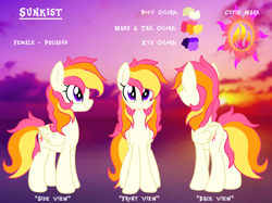 Size: 2732x2048 | Tagged: safe, artist:prismaticstars, derpibooru import, oc, oc:sunkist, pegasus, pony, female, high res, mare, reference sheet, solo