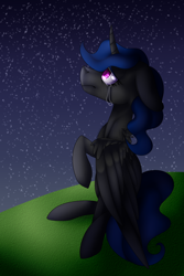 Size: 2000x3000 | Tagged: safe, artist:liamsartworld, derpibooru import, oc, oc:moonlit night, dark, night, redraw, sky, solo