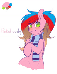 Size: 1280x1642 | Tagged: safe, artist:yuozka, derpibooru import, oc, oc only, oc:pinkahoody, pegasus, pony, clothes, female, mare, scarf, solo