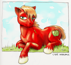 Size: 800x735 | Tagged: safe, artist:capt_hairball, derpibooru import, big macintosh, earth pony, pony, grass, male, nudity, realistic horse legs, simple background, solo, stallion, straw in mouth, unshorn fetlocks