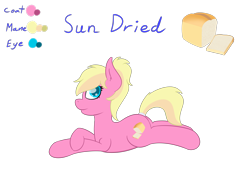 Size: 4000x3000 | Tagged: safe, artist:eyeburn, derpibooru import, oc, oc only, oc:sun dried, earth pony, pony, bread, food, reference sheet, simple background, transparent background