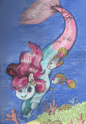 Size: 1155x1655 | Tagged: safe, artist:69beas, derpibooru import, oc, fish, sea pony, traditional art, water