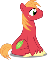 Size: 4218x5000 | Tagged: safe, artist:dashiesparkle, derpibooru import, edit, editor:slayerbvc, big macintosh, earth pony, pony, hearts and hooves day (episode), .svg available, absurd resolution, accessory-less edit, cute, macabetes, male, missing accessory, simple background, sitting, solo, stallion, transparent background, vector, vector edit