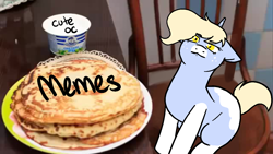 Size: 1280x720 | Tagged: safe, artist:/d/non, derpibooru exclusive, derpibooru import, oc, oc:nootaz, pony, unicorn, kot blini, looking at you, meme, ponified, ponified animal photo, sour cream