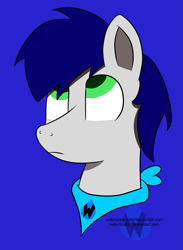 Size: 2293x3126 | Tagged: safe, artist:waterboy597, derpibooru import, oc, oc only, oc:waterpony, pony, bust, portrait, simple background