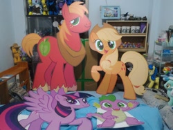 Size: 960x720 | Tagged: safe, derpibooru import, applejack, big macintosh, spike, twilight sparkle, twilight sparkle (alicorn), alicorn, irl, photo