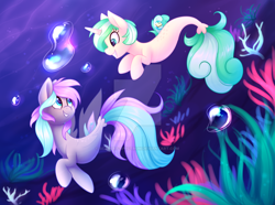 Size: 900x669 | Tagged: safe, artist:scarlet-spectrum, derpibooru import, oc, oc only, oc:first edition, oc:silverstar, pegasus, pony, seapony (g4), unicorn, air bubble, commission, seaweed, underwater, watermark