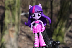 Size: 6000x4000 | Tagged: safe, artist:artofmagicpoland, derpibooru import, twilight sparkle, twilight sparkle (alicorn), alicorn, equestria girls, doll, equestria girls minis, fall formal outfits, solo, toy