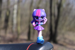 Size: 6000x4000 | Tagged: safe, artist:artofmagicpoland, derpibooru import, sci-twi, twilight sparkle, better together, equestria girls, cute, doll, equestria girls minis, irl, photo, photography, solo, toy, twiabetes