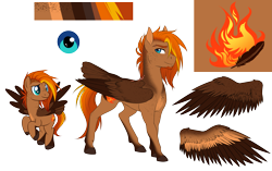 Size: 2843x1791 | Tagged: safe, artist:askbubblelee, derpibooru import, oc, oc only, oc:singe, pegasus, pony, body freckles, facial hair, freckles, goatee, male, reference sheet, show accurate, simple background, smiling, solo, stallion, tail feathers, transparent background