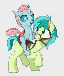 Size: 909x1080 | Tagged: safe, artist:foal, derpibooru import, ocellus, sandbar, changedling, changeling, earth pony, pony, school daze, bridle, changelings riding ponies, cute, diaocelles, duo, female, gray background, horses doing horse things, male, ocelbar, raised hoof, reins, riding, saddle, sandabetes, shipping, simple background, stallion, straight, tack