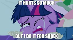 Size: 888x499 | Tagged: safe, derpibooru import, edit, edited screencap, screencap, twilight sparkle, twilight sparkle (alicorn), alicorn, pony, school daze, bed, crying, floppy ears, image macro, meme, pillow, shrek is love shrek is life, tissue