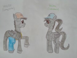 Size: 1296x972 | Tagged: safe, artist:wouterthebelgian1999, derpibooru import, oc, oc only, oc:gradient, oc:grayscale, pony, clothes, rule 63, traditional art