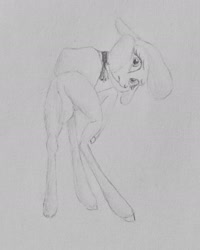 Size: 1223x1529 | Tagged: safe, artist:joestick, derpibooru import, pom lamb, lamb, sheep, them's fightin' herds, community related, cute, female, pencil drawing, solo, traditional art