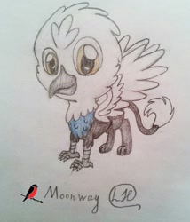 Size: 1045x1220 | Tagged: safe, artist:podkovka, derpibooru import, oc, oc only, oc:moonway, griffon, chibi, cute, hawks, solo, traditional art