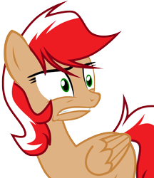 Size: 2594x3009 | Tagged: safe, artist:poniacz-internetuff, derpibooru import, pegasus, pony, female, high res, mare, nation ponies, poland, ponified, simple background, solo, transparent background, vector