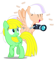 Size: 1668x1782 | Tagged: safe, artist:zacatron94, derpibooru import, oc, oc only, oc:sweep star, oc:viva reverie, pegasus, pony, camera, female, mare, simple background, transparent background, vector