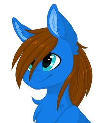 Size: 876x1000 | Tagged: safe, artist:melodytheartpony, derpibooru import, oc, oc only, oc:flying ace, bust, chest fluff, cute, ear fluff, fluffy, male, portrait, simple background, transparent background