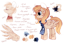 Size: 2449x1632 | Tagged: safe, artist:mirtash, derpibooru import, oc, oc only, oc:splity, pegasus, pony, clothes, cyrillic, ponysona, rcf community, reference sheet, russian, scarf