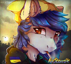 Size: 1024x922 | Tagged: safe, artist:serenity, derpibooru import, oc, oc:scratche aux, blue hair, cigarette, clothes, error, fluffy, glitch, hat, hoodie, male, solo, stallion, ukraine, ukraine flag