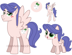 Size: 1499x1148 | Tagged: safe, artist:missmele-madness, derpibooru import, oc, oc:johnny cottonseed, pegasus, pony, colt, male, offspring, parent:applejack, parent:soarin', parents:soarinjack, simple background, solo, stallion, transparent background, younger