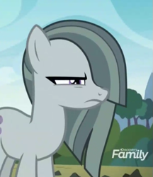 Size: 521x603 | Tagged: safe, derpibooru import, screencap, marble pie, earth pony, pony, the maud couple, angry, cropped, cute, female, frown, glare, marble pie is not amused, mare, narrowed eyes, solo, unamused