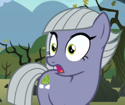 Size: 802x676 | Tagged: safe, derpibooru import, screencap, limestone pie, earth pony, pony, the maud couple, cropped, female, open mouth, solo, wide eyes