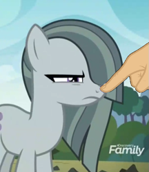 Size: 521x603 | Tagged: safe, derpibooru import, edit, edited screencap, screencap, marble pie, the maud couple, boop, boop edit, cute, finger, hand, marble pie is not amused, non-consensual booping