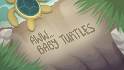 Size: 1920x1080 | Tagged: safe, derpibooru import, screencap, turtle, aww... baby turtles, better together, equestria girls, baby turtle, no pony, sea turtle, title card