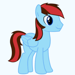 Size: 1080x1080 | Tagged: safe, artist:edelweiss, derpibooru import, oc, oc only, oc:hud, oc:hudson, pegasus, pony, animated, cute, ear twitch, hooves, male, ocbetes, show accurate, simple background, stallion, wing twitch