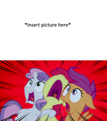 Size: 1280x1440 | Tagged: safe, artist:nightshadowmlp, derpibooru import, edit, edited screencap, screencap, apple bloom, scootaloo, sweetie belle, appleoosa's most wanted, cutie mark crusaders, exploitable meme, meme, screaming, template, what are the crusaders screaming at