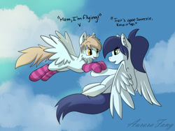 Size: 1024x768 | Tagged: safe, artist:aurorafang, derpibooru import, oc, oc only, oc:flurry, oc:zephyrfrost, pegasus, pony, clothes, colt, female, flying, lesson, male, mare, mother and child, mother and son, parent and child, socks, striped socks