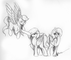 Size: 1024x869 | Tagged: safe, artist:mindlesssketching, derpibooru import, oc, oc only, oc:peanut, pegasus, pony, boop, female, mare, monochrome, traditional art