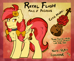 Size: 2906x2411 | Tagged: safe, artist:iroxykun, derpibooru import, oc, oc only, oc:royal flush, pegasus, pony, bow, chest fluff, choker, cutie mark, femboy, flower, male, reference sheet, solo, text, violin