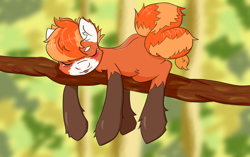 Size: 2300x1440 | Tagged: safe, artist:kittytitikitty, derpibooru import, oc, oc:pandy cyoot, red panda pony, :p, silly, sleeping, tongue out