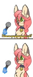 Size: 2000x4600 | Tagged: safe, artist:mimisaurusrex, derpibooru import, oc, oc only, oc:koneko, cat pony, original species, pony, 2 panel comic, bell, bell collar, chest fluff, collar, comic, dialogue, digital art, ear fluff, fangs, female, glasses, magic, mare, microphone, offscreen character, ponified animal photo, pouting, smiling, text