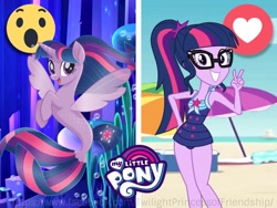 Size: 2048x1536 | Tagged: safe, derpibooru import, sci-twi, twilight sparkle, twilight sparkle (alicorn), alicorn, seapony (g4), better together, equestria girls, forgotten friendship, my little pony: the movie, clothes, facebook reactions, my little pony logo, seaponified, seapony twilight, species swap, swimsuit