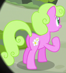 Size: 381x419 | Tagged: safe, derpibooru import, screencap, daisy, flower wishes, the maud couple, cropped, plot