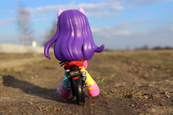 Size: 6000x4000 | Tagged: safe, artist:artofmagicpoland, derpibooru import, twilight sparkle, twilight sparkle (alicorn), alicorn, equestria girls, badass, doll, equestria girls minis, motorcycle, riding, toy