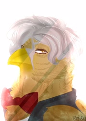 Size: 1543x2160 | Tagged: safe, derpibooru import, oc, oc:alviss, griffon, bust, simple background