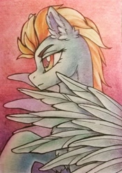 Size: 760x1080 | Tagged: safe, artist:dragonataxia, derpibooru import, lightning dust, pegasus, pony, aceo, bust, colored pencil drawing, ear fluff, female, gradient background, mare, portrait, profile, solo, traditional art