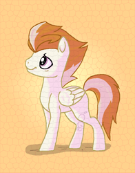 Size: 742x945 | Tagged: safe, artist:olivegreenappaloosa, derpibooru import, fire streak, pegasus, pony, male, missing cutie mark, solo, stallion