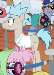 Size: 335x460 | Tagged: safe, derpibooru import, screencap, earth pony, pony, grannies gone wild, clothes, cropped, glasses, lab coat, male, ponified, pony rick, rick and morty, rick sanchez, solo focus, stallion