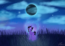 Size: 2920x2080 | Tagged: safe, artist:aledera, derpibooru import, oc, oc:fairy route, moon, night, night sky, sky