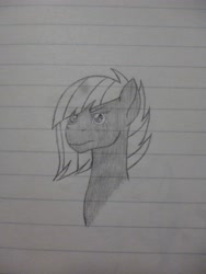 Size: 3240x4320 | Tagged: safe, artist:thr3eguess3s, derpibooru import, limestone pie, earth pony, pony, black and white, bust, grayscale, high res, lined paper, monochrome, portrait, solo, traditional art