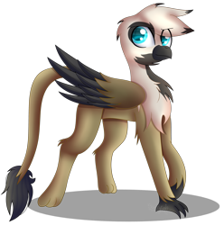 Size: 2385x2408 | Tagged: safe, artist:tomboygirl45, derpibooru import, oc, oc:sky, griffon, high res, simple background, solo, transparent background, two toned wings
