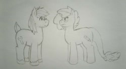 Size: 1024x561 | Tagged: safe, artist:dragonponyling, derpibooru import, oc, oc:basher, oc:lena, dracony, earth pony, hybrid, pony, unicorn, blushing, female, glasses, male, mare, monochrome, stallion, traditional art