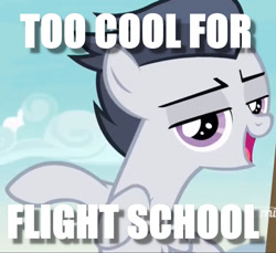 Size: 1354x1242 | Tagged: safe, derpibooru import, rumble, pony, flight school, image macro, meme, solo, too cool for school